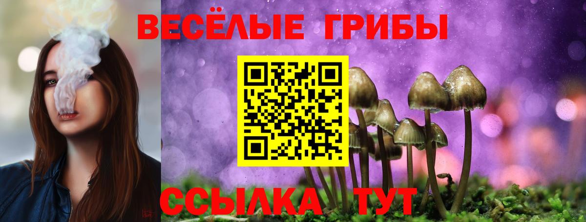 Великие Луки  Галлюциногенные грибы Cubensis  Вход с VPN 